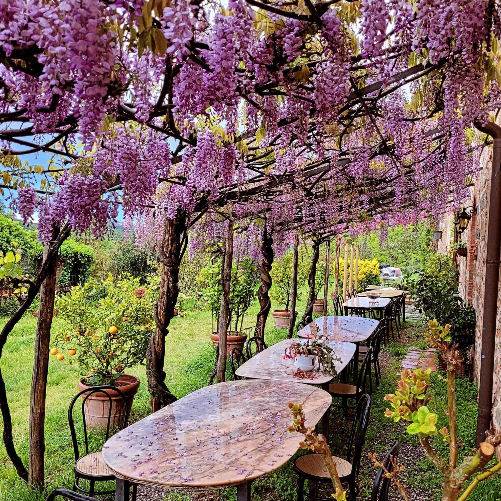 Agriturismo I Pitti Serravalle Pistoiese Bagian luar foto