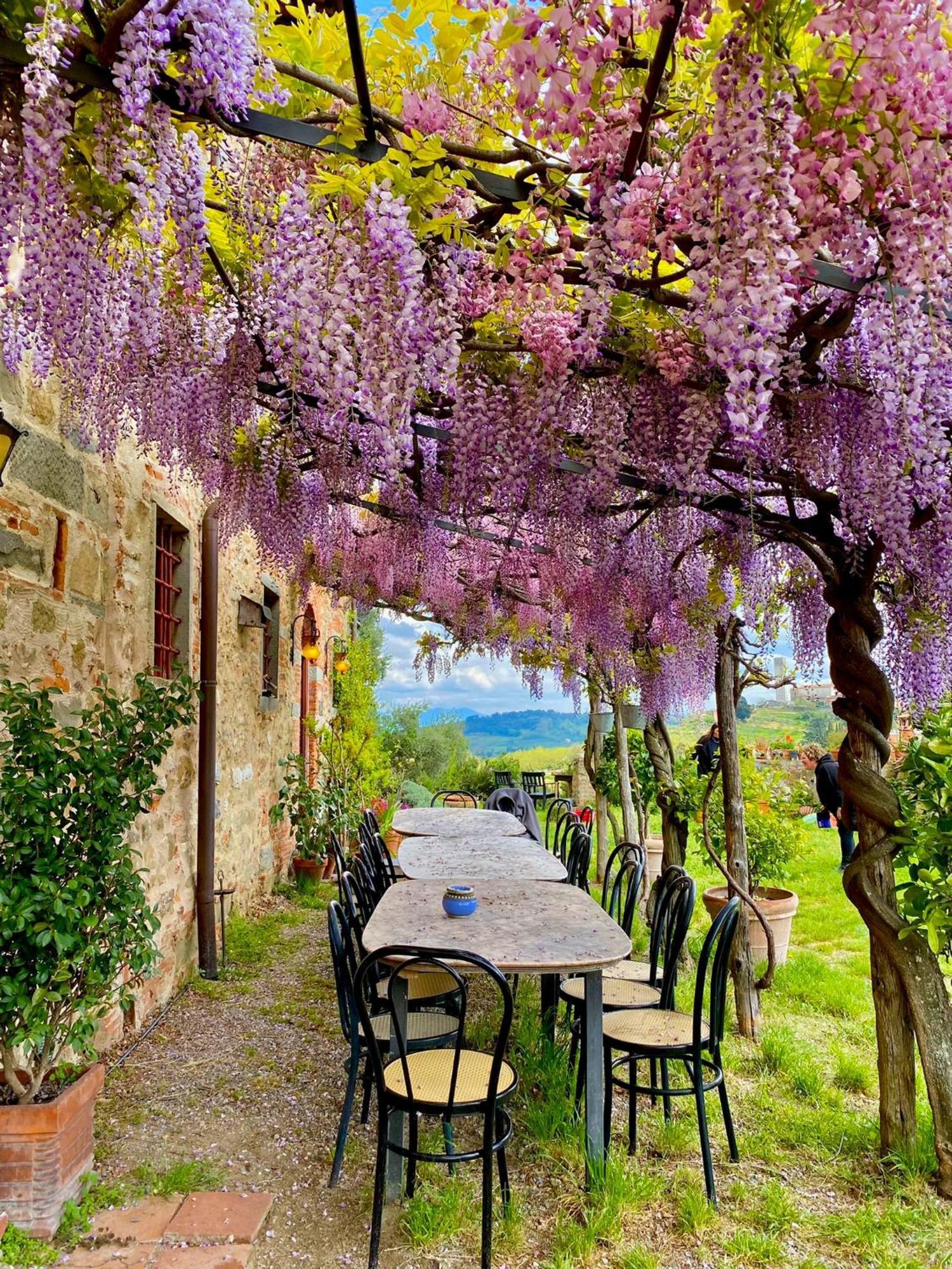 Agriturismo I Pitti Serravalle Pistoiese Bagian luar foto